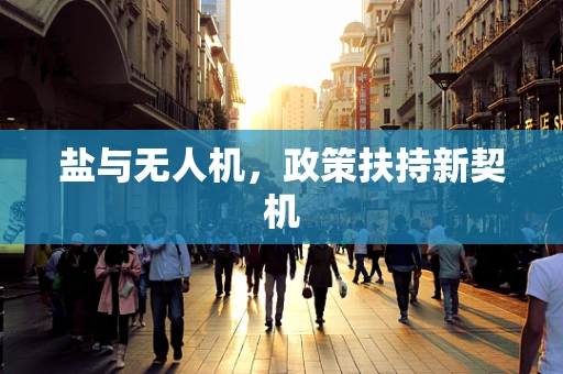 盐与无人机，政策扶持新契机