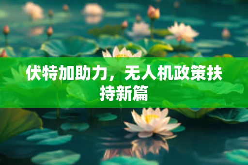 伏特加助力，无人机政策扶持新篇