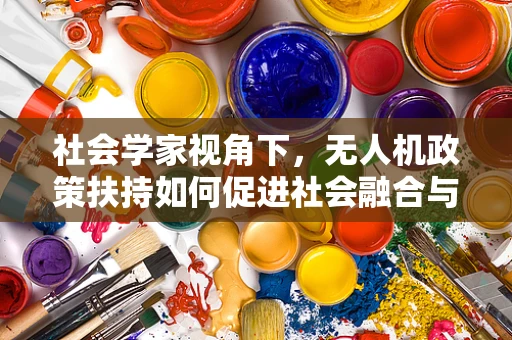 社会学家视角下，无人机政策扶持如何促进社会融合与安全平衡？