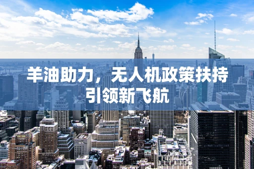羊油助力，无人机政策扶持引领新飞航