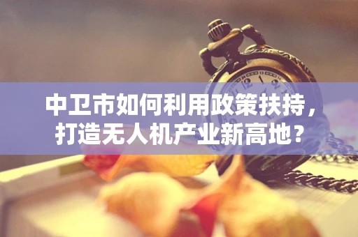中卫市如何利用政策扶持，打造无人机产业新高地？
