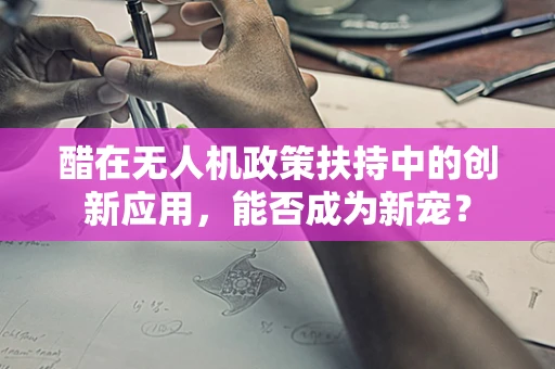 醋在无人机政策扶持中的创新应用，能否成为新宠？