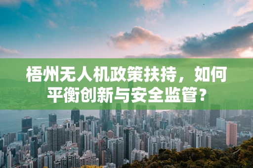 梧州无人机政策扶持，如何平衡创新与安全监管？