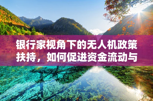 银行家视角下的无人机政策扶持，如何促进资金流动与风险控制？