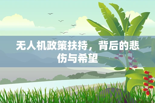 无人机政策扶持，背后的悲伤与希望