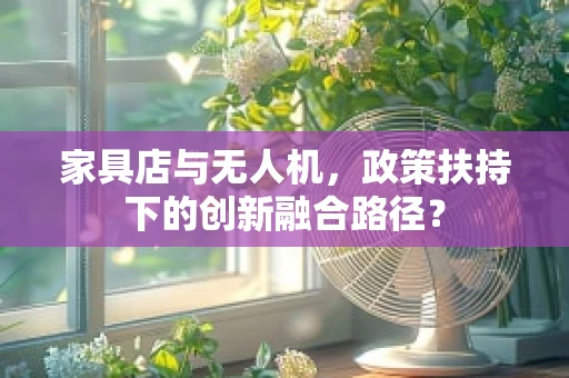家具店与无人机，政策扶持下的创新融合路径？