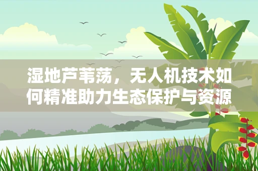 湿地芦苇荡，无人机技术如何精准助力生态保护与资源管理？
