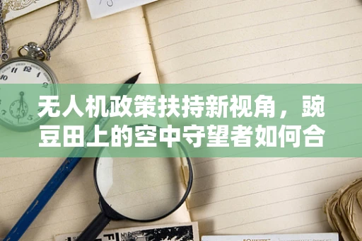 无人机政策扶持新视角，豌豆田上的空中守望者如何合法起舞？