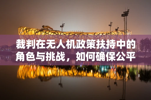 裁判在无人机政策扶持中的角色与挑战，如何确保公平与效率？
