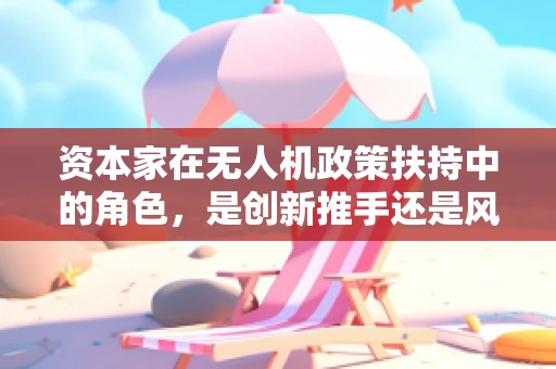 资本家在无人机政策扶持中的角色，是创新推手还是风险投机者？