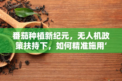 番茄种植新纪元，无人机政策扶持下，如何精准施用‘空中肥料’？
