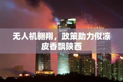 无人机翱翔，政策助力似凉皮香飘陕西