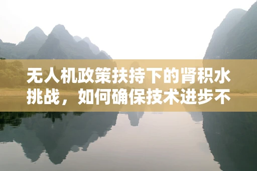 无人机政策扶持下的肾积水挑战，如何确保技术进步不忽视健康风险？