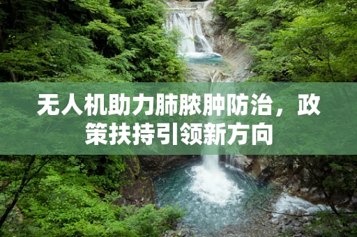 无人机助力肺脓肿防治，政策扶持引领新方向