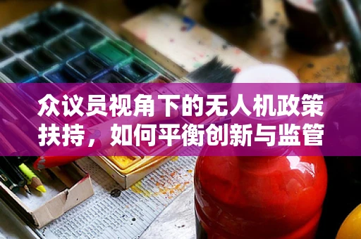众议员视角下的无人机政策扶持，如何平衡创新与监管？