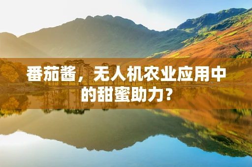 番茄酱，无人机农业应用中的甜蜜助力？