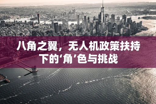 八角之翼，无人机政策扶持下的‘角’色与挑战