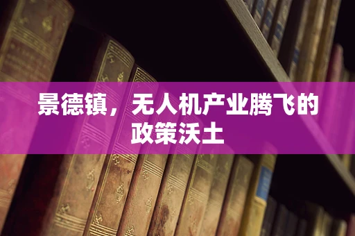 景德镇，无人机产业腾飞的政策沃土