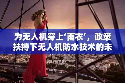 为无人机穿上‘雨衣’，政策扶持下无人机防水技术的未来路径