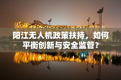 阳江无人机政策扶持，如何平衡创新与安全监管？