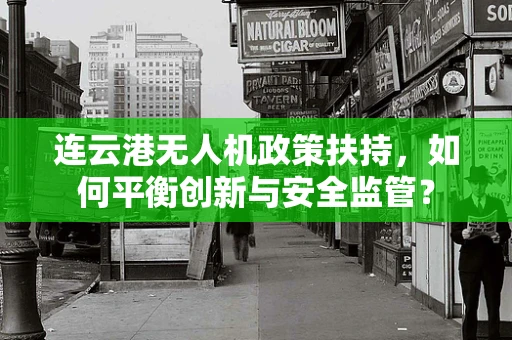 连云港无人机政策扶持，如何平衡创新与安全监管？