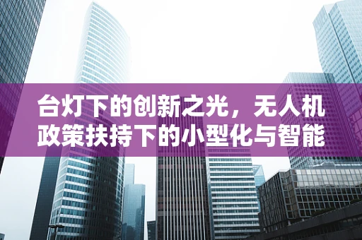 台灯下的创新之光，无人机政策扶持下的小型化与智能化趋势？