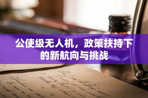 公使级无人机，政策扶持下的新航向与挑战