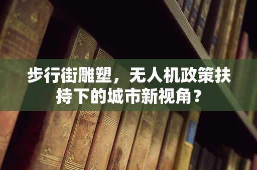 步行街雕塑，无人机政策扶持下的城市新视角？