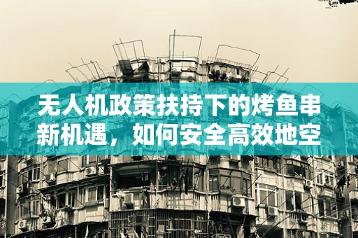 无人机政策扶持下的烤鱼串新机遇，如何安全高效地空中配送？