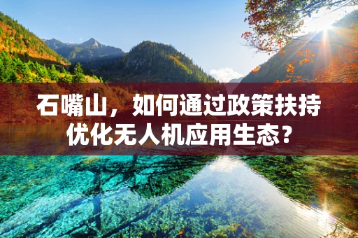 石嘴山，如何通过政策扶持优化无人机应用生态？