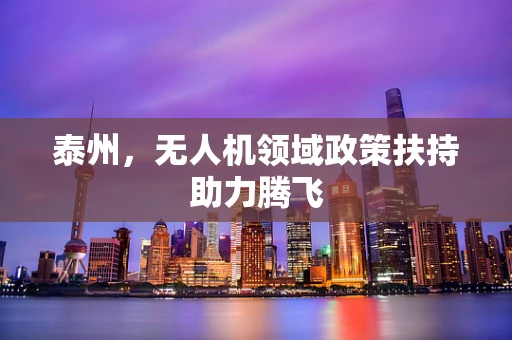 泰州，无人机领域政策扶持助力腾飞