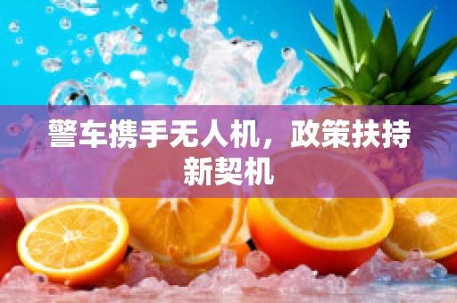 警车携手无人机，政策扶持新契机
