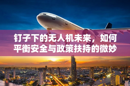 钉子下的无人机未来，如何平衡安全与政策扶持的微妙关系？