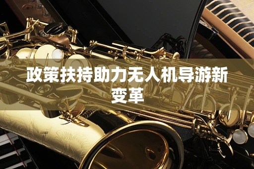 政策扶持助力无人机导游新变革