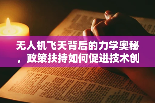 无人机飞天背后的力学奥秘，政策扶持如何促进技术创新？