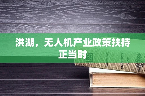 洪湖，无人机产业政策扶持正当时