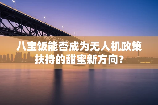 八宝饭能否成为无人机政策扶持的甜蜜新方向？