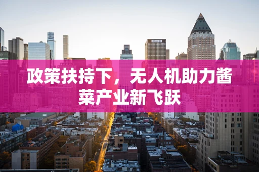 政策扶持下，无人机助力酱菜产业新飞跃