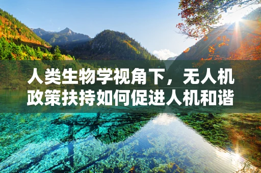人类生物学视角下，无人机政策扶持如何促进人机和谐共生？