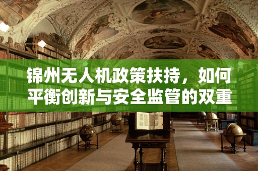 锦州无人机政策扶持，如何平衡创新与安全监管的双重考量？