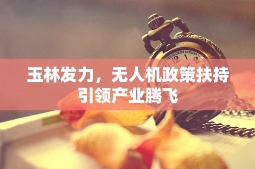 玉林发力，无人机政策扶持引领产业腾飞