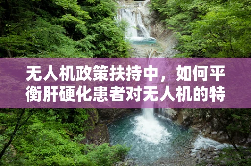 无人机政策扶持中，如何平衡肝硬化患者对无人机的特殊需求与公共安全？