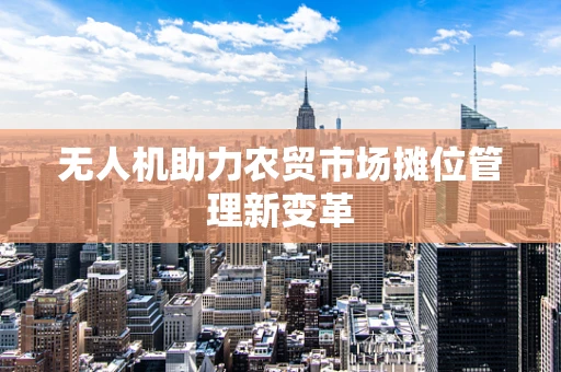无人机助力农贸市场摊位管理新变革