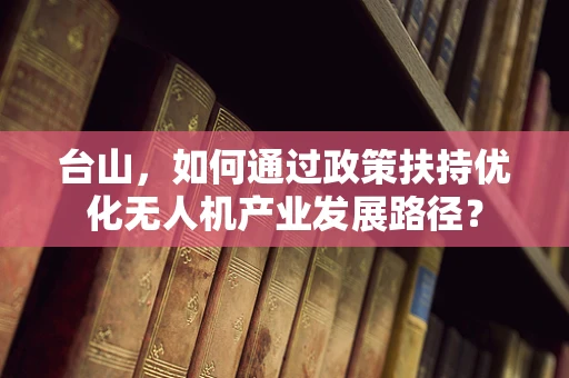 台山，如何通过政策扶持优化无人机产业发展路径？