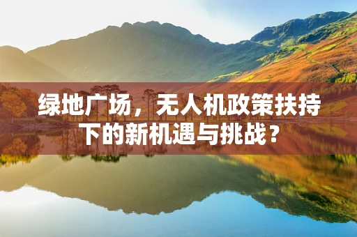 绿地广场，无人机政策扶持下的新机遇与挑战？