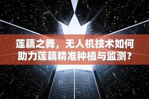 莲藕之舞，无人机技术如何助力莲藕精准种植与监测？