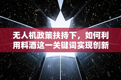 无人机政策扶持下，如何利用料酒这一关键词实现创新应用？