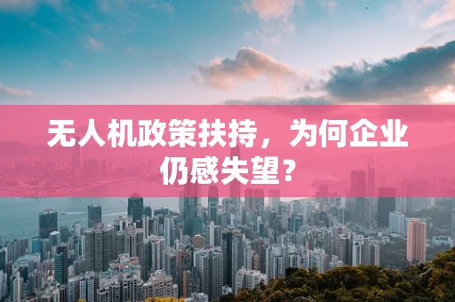 无人机政策扶持，为何企业仍感失望？