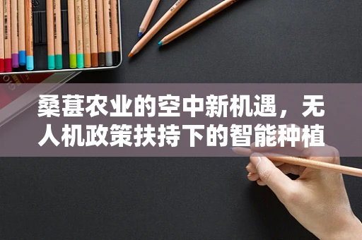 桑葚农业的空中新机遇，无人机政策扶持下的智能种植探索
