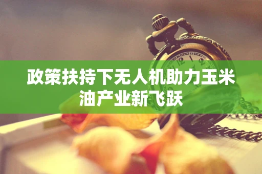 政策扶持下无人机助力玉米油产业新飞跃
